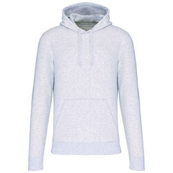 Sweat-shirt &agrave; capuche K4027 Strasbourg