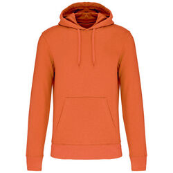 Sweat-shirt &agrave; capuche K4027 Strasbourg